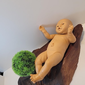 May include: A tan-colored baby doll is mounted on a dark brown, textured wooden plaque. A small, round, green, artificial plant is positioned near the doll. The doll has its arms raised and is lying down.