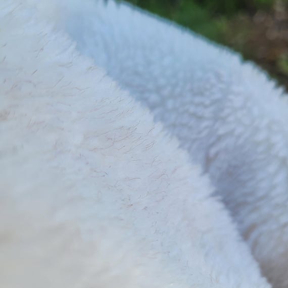 Mod Fuzzy Soft Vintage Diagonal Zip Up Coat Ladies - image 6