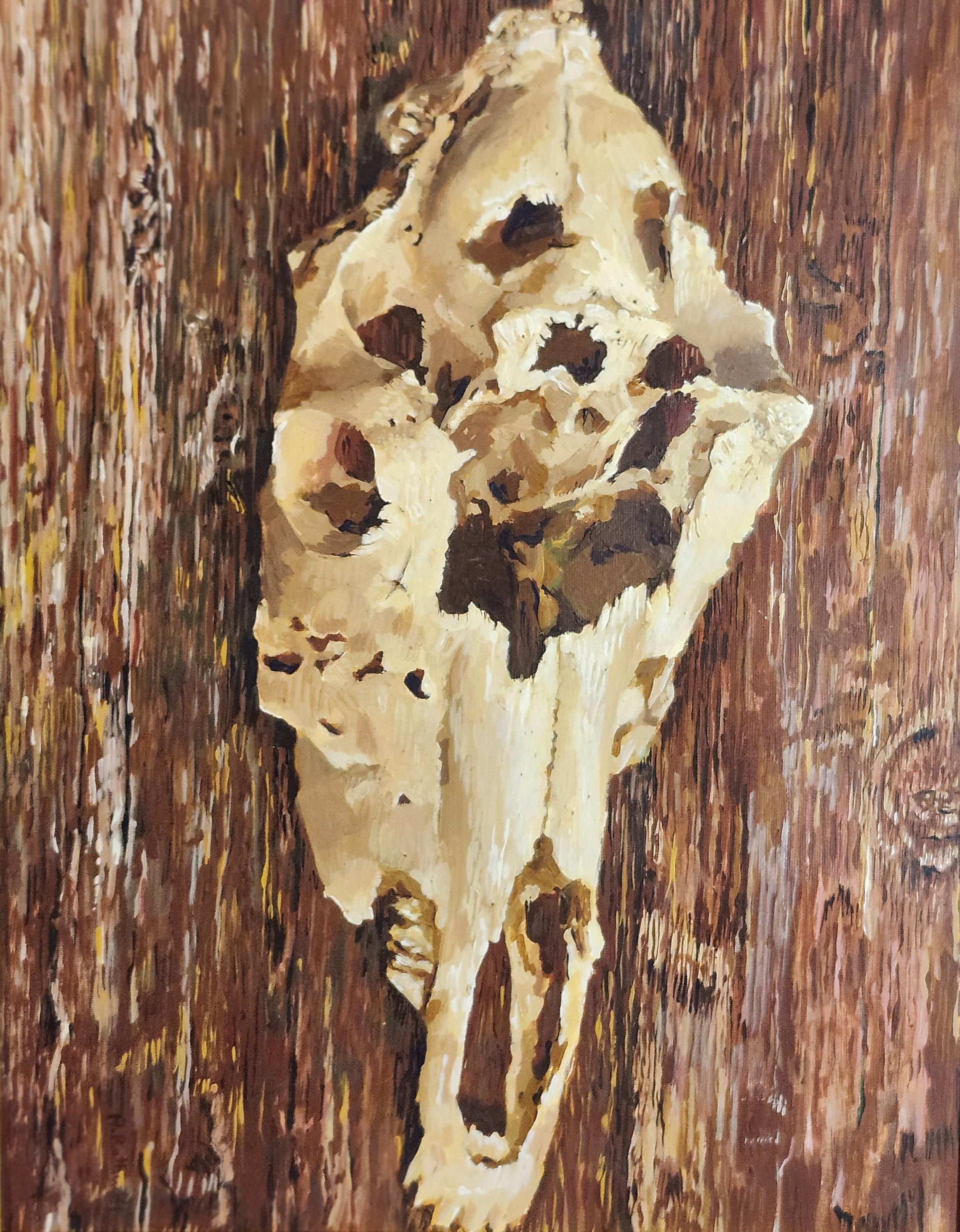 牛の頭蓋骨、キャンバスに描かれたオリジナルの油絵、額入り、23x20