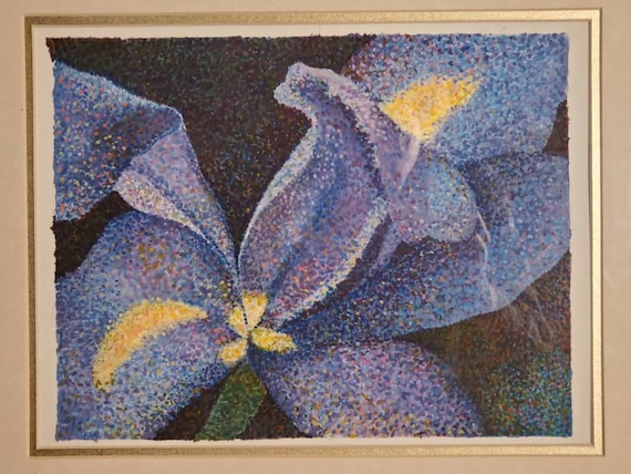 豊富な，2025 アイリスの水彩画額装済み