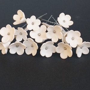 Bridal hair pins, Set of 5 hair pins, Wedding hair pins, Wedding flowers
