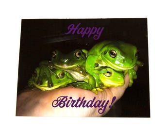 Frog-theme Traveler/'s NotebookPocket SizeA6Planner