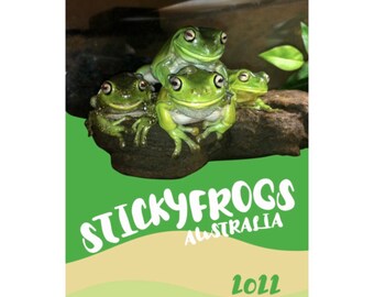Frog-theme Traveler/'s NotebookPocket SizeA6Planner
