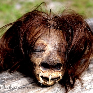 Peut inclure: Une réplique de tête réduite avec des cheveux brun foncé, une peau tannée texturée, des yeux fermés et une bouche cousue. Le texte thedeadbodystore.com est imprimé dans le coin inférieur gauche. L'objet présente un aspect vieilli.
