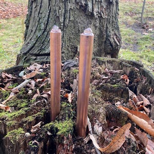 May include: Two copper-coloured metal rods with clear crystal tops are set in a tree stump covered in moss and fallen leaves. The rods are cylindrical and have a polished finish. The background features a large tree trunk and a blurred natural setting.