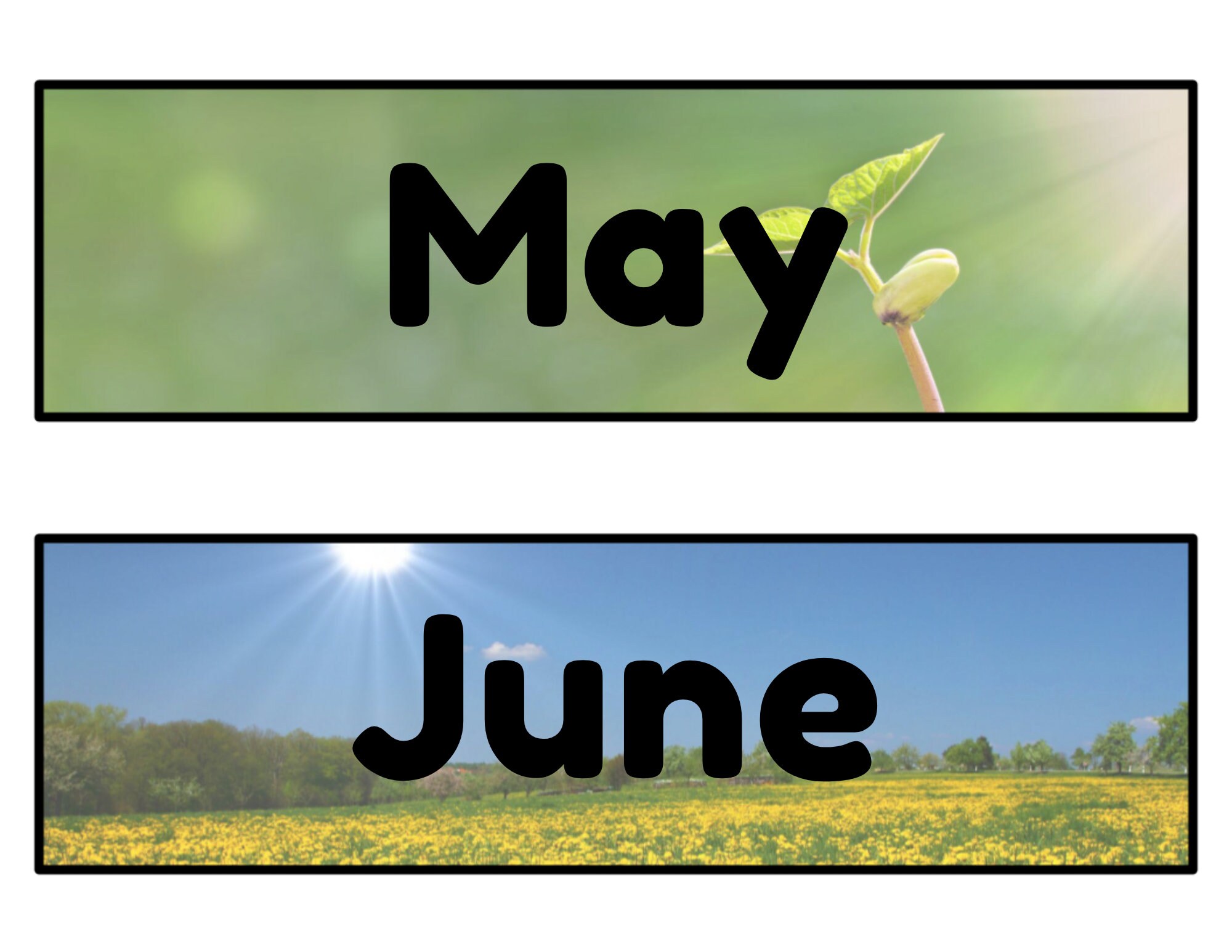 months-of-the-year-calendar-cards-etsy