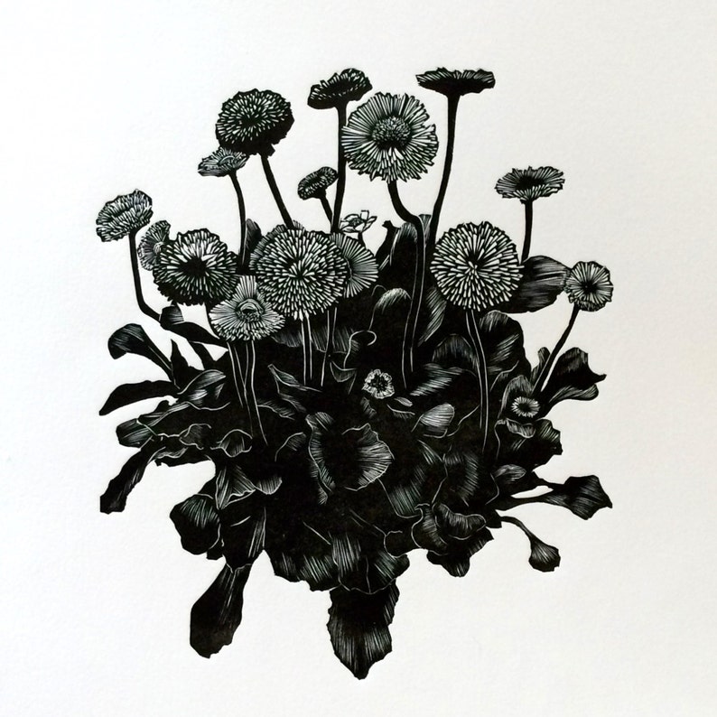 English Dasies, Daisy Linocut Print, Linoleum Block Print, Unframed Etsy