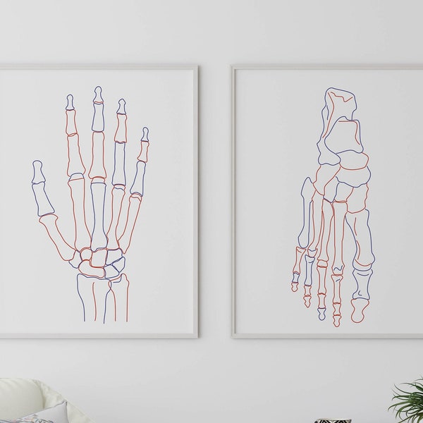 Anatomical Set of 2 printable, Medical one line art, Doctor Office Wall Decor, Hand Print Skeletal, Human Anatomy Orthopedic Foot Poster