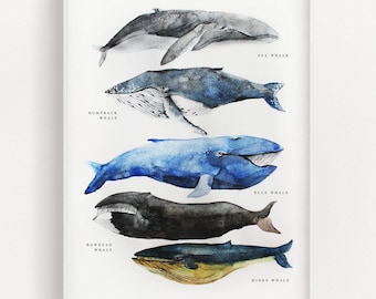 墨絵作品-水墨画-一点物-原画-オリジナル作品-クジラ-鯨 - Etsy 日本