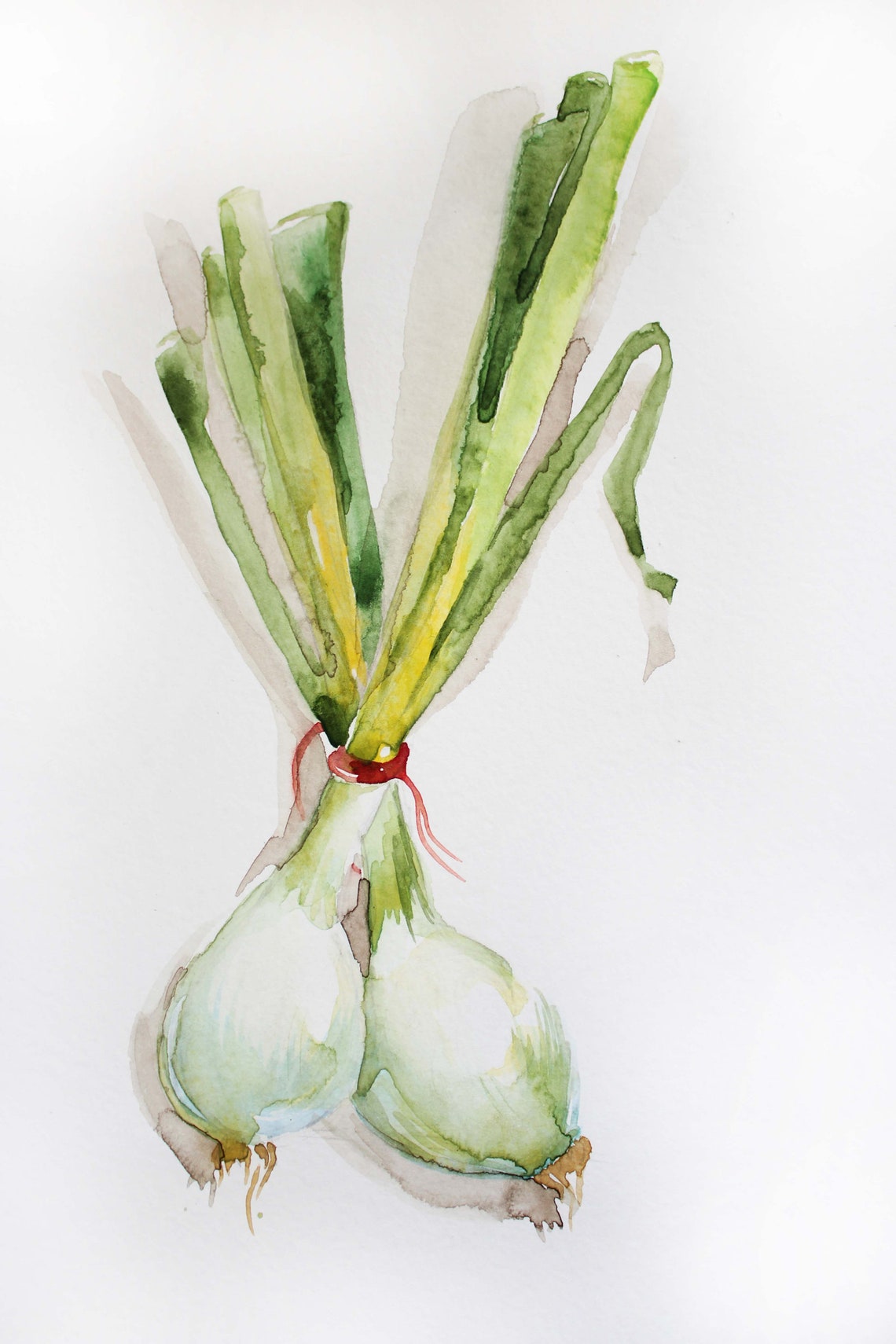 Onion Original Watercolor Painting Green Onions illustration Etsy