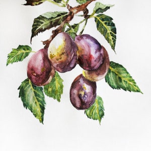 Fruit Set Watercolor Print Fruit Art Fruits Kitchen Decor Set - Etsy