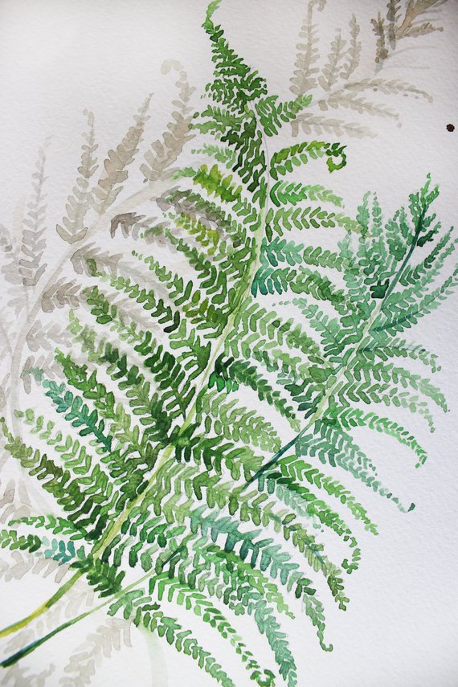 Farn grün Pflanzen DRUCK SET Botanisches Blatt Aquarell Farn Etsy