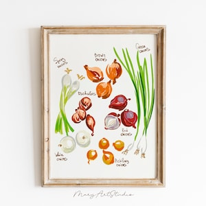 Onion Farm Handmade Print Vegetable Art Veggie Art Plant Lover Art Foodie Farm drawing Veggies Printable different types of onions