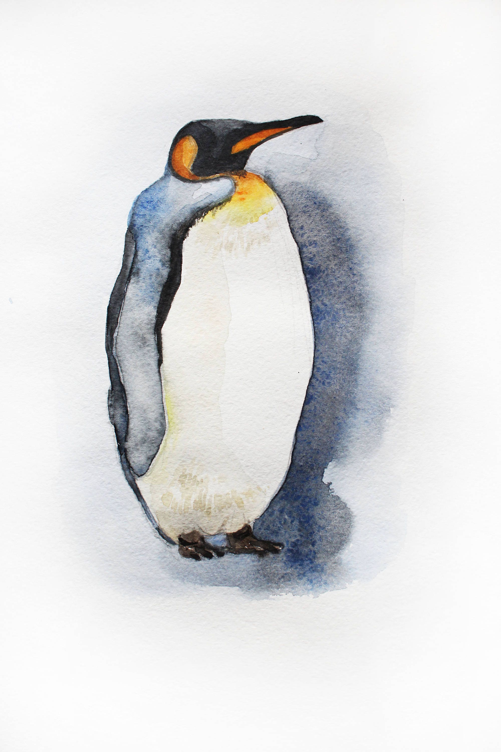 Penguin PRINT Watercolor Painting penguin art penguin | Etsy