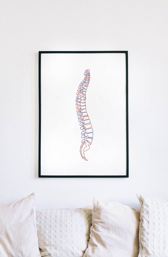 Anatomical Spine Printable Spine Outline Print Medical One - Etsy