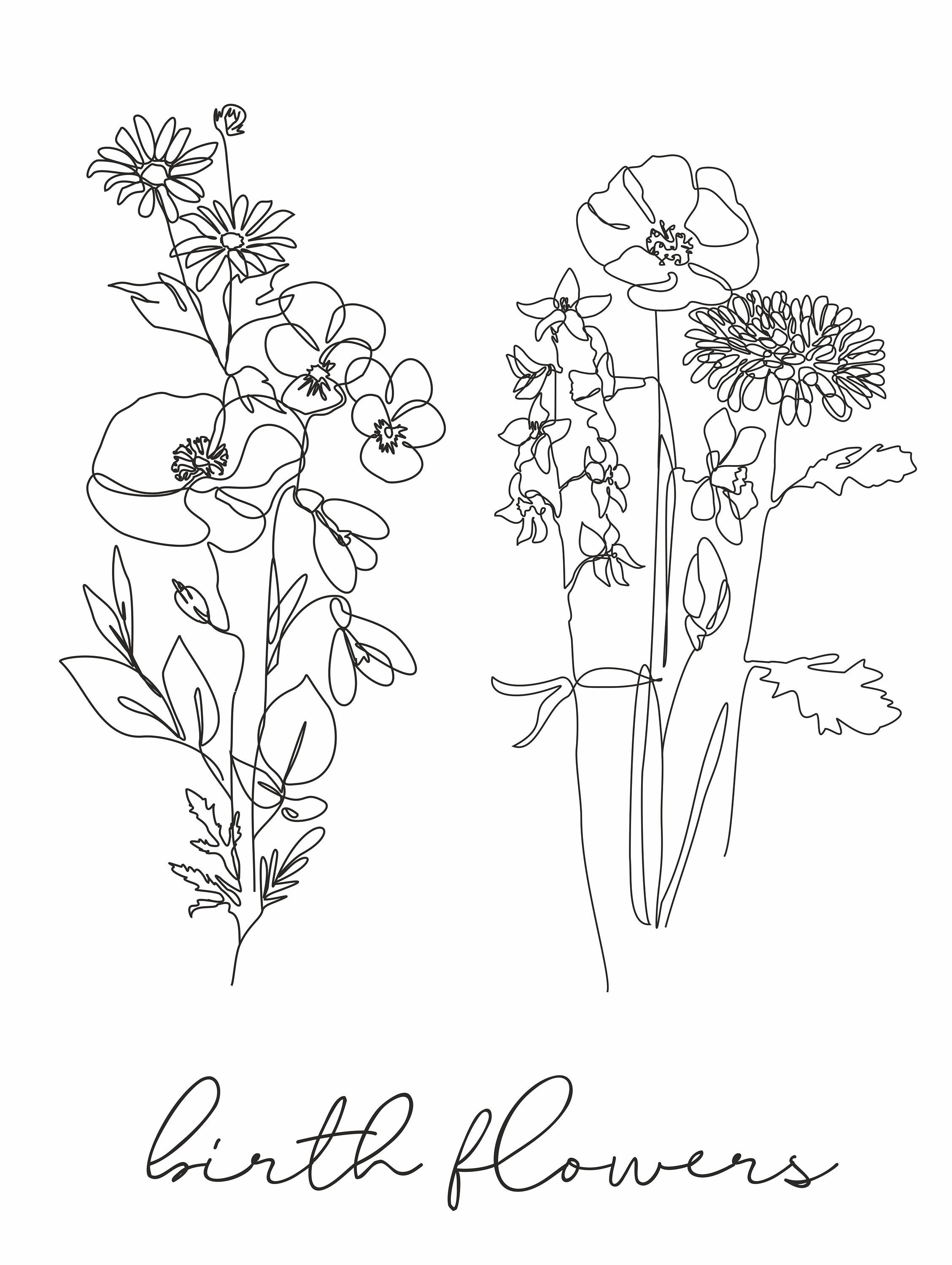 October Birth Flower Bouquet  Stock Illustration 97800105  PIXTA