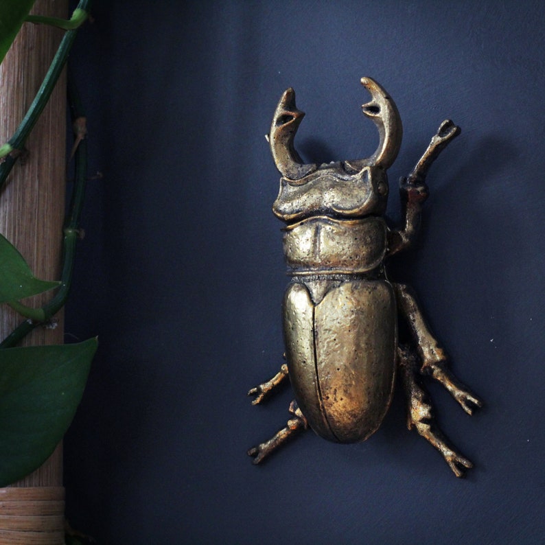 Beetle Wall Art Decoration - Etsy