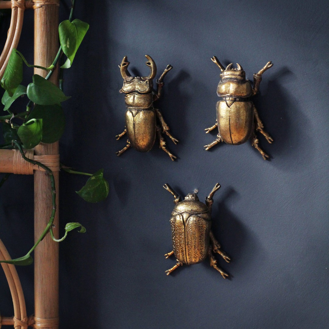 Beetle Wall Art Decoration - Etsy