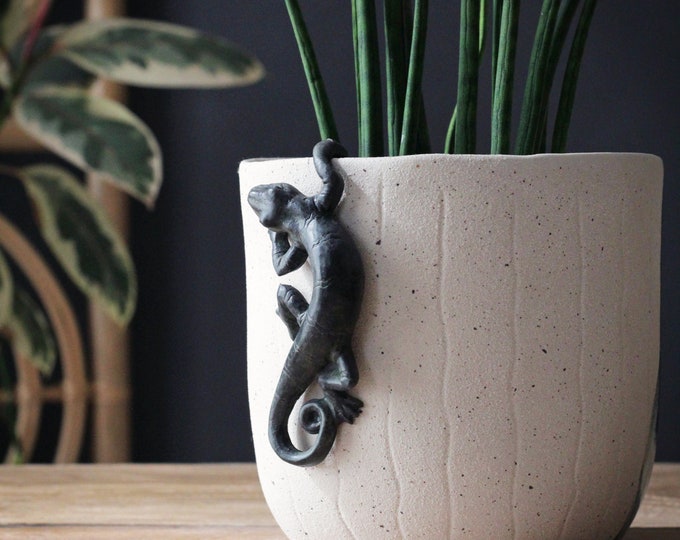 Lizard Pot Etsy