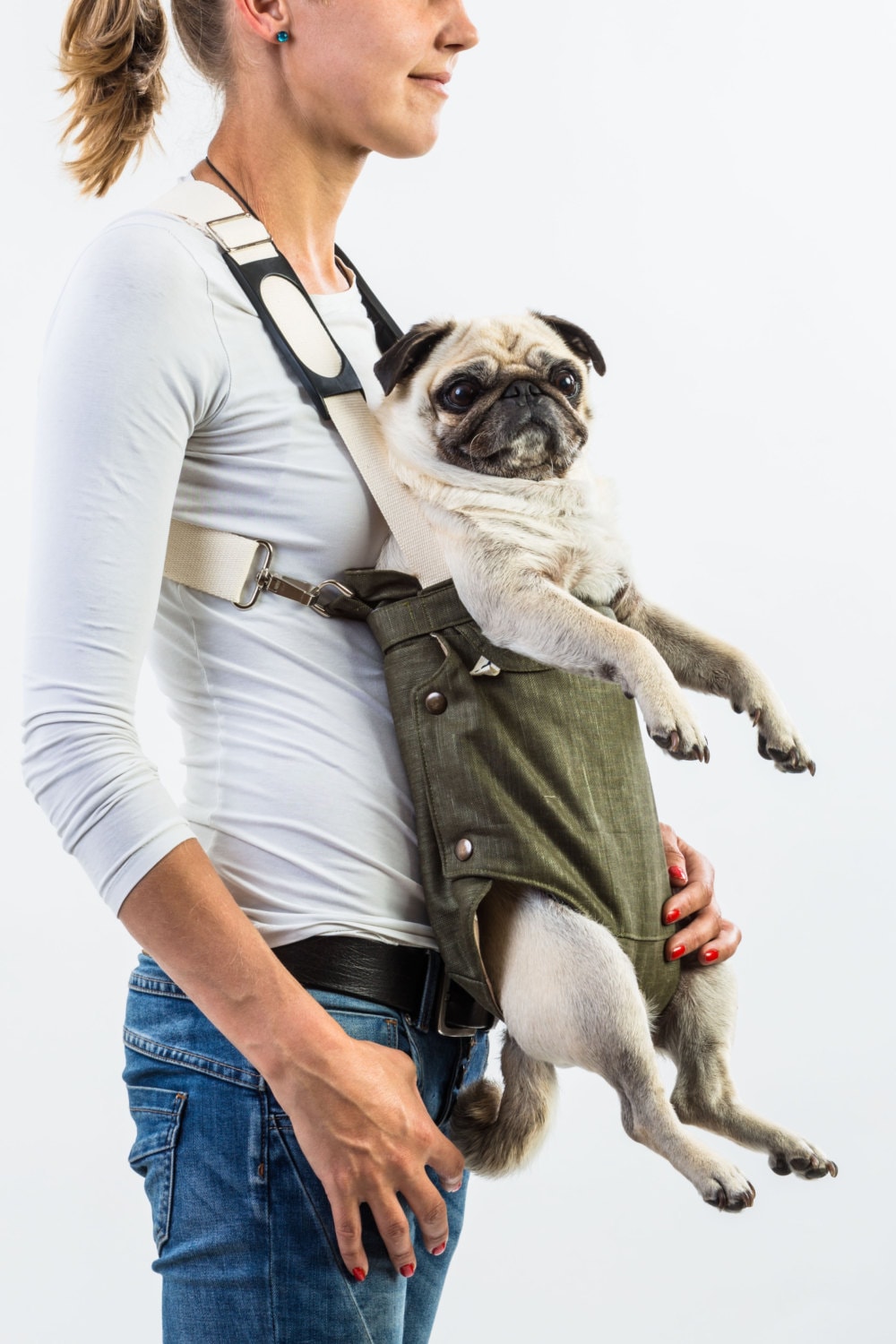 pug in baby carrier