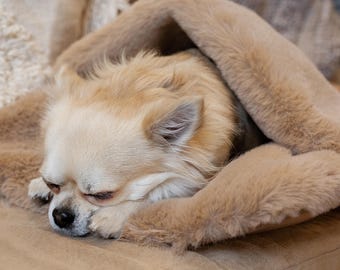 Dog or cat snuggle bag ZARA