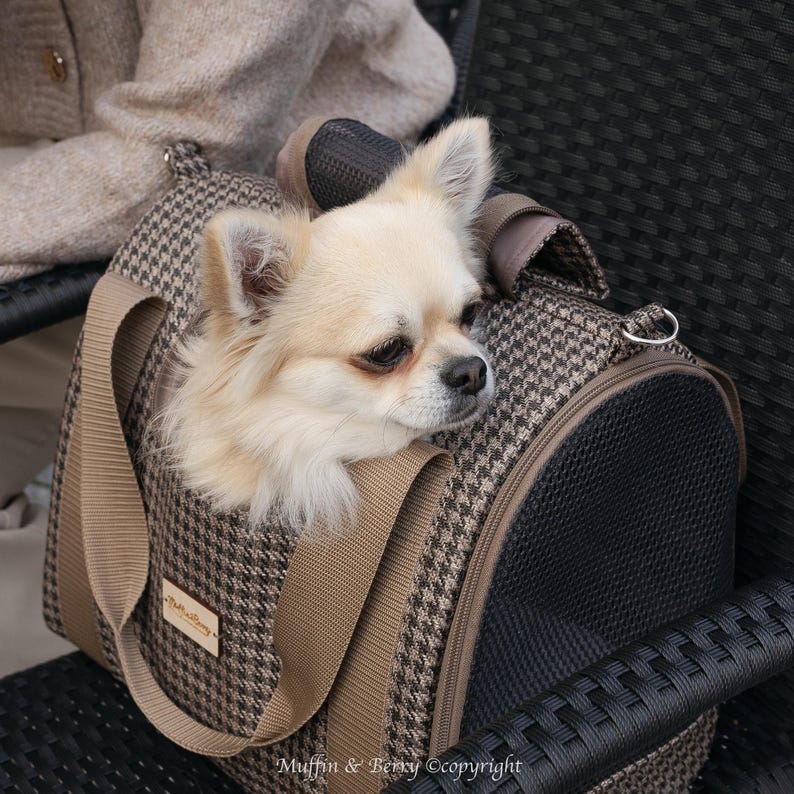 Puede incluir: Un peque&ntilde;o chihuahua blanco est&aacute; sentado en una bolsa de transporte para mascotas de color marr&oacute;n y negro con una correa de color beige. La bolsa de transporte tiene un panel de malla en el lateral.