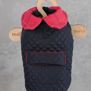 Blue color winter dog coat THEO