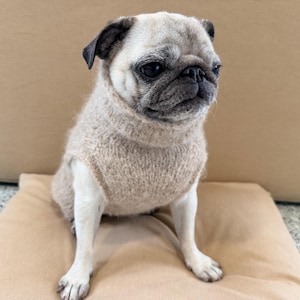 May include: A fawn-colored pug with a black muzzle and ears wearing a beige, fuzzy, sleeveless knit sweater with a high turtleneck collar. The dog is sitting upright, displaying a textured, soft-looking garment that covers its torso.