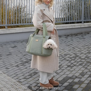 Dog or cat carrier with 2 removable meshes ANICA