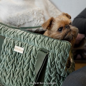 Velour pet carrier ESTHER in green color