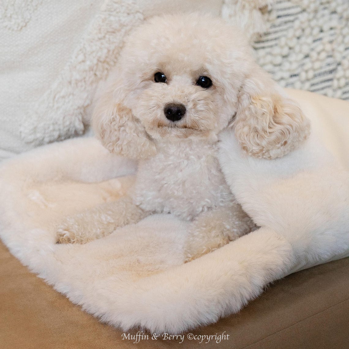 Luxury Faux-fur Snuggle Sack for Dogs ASPEN - Etsy