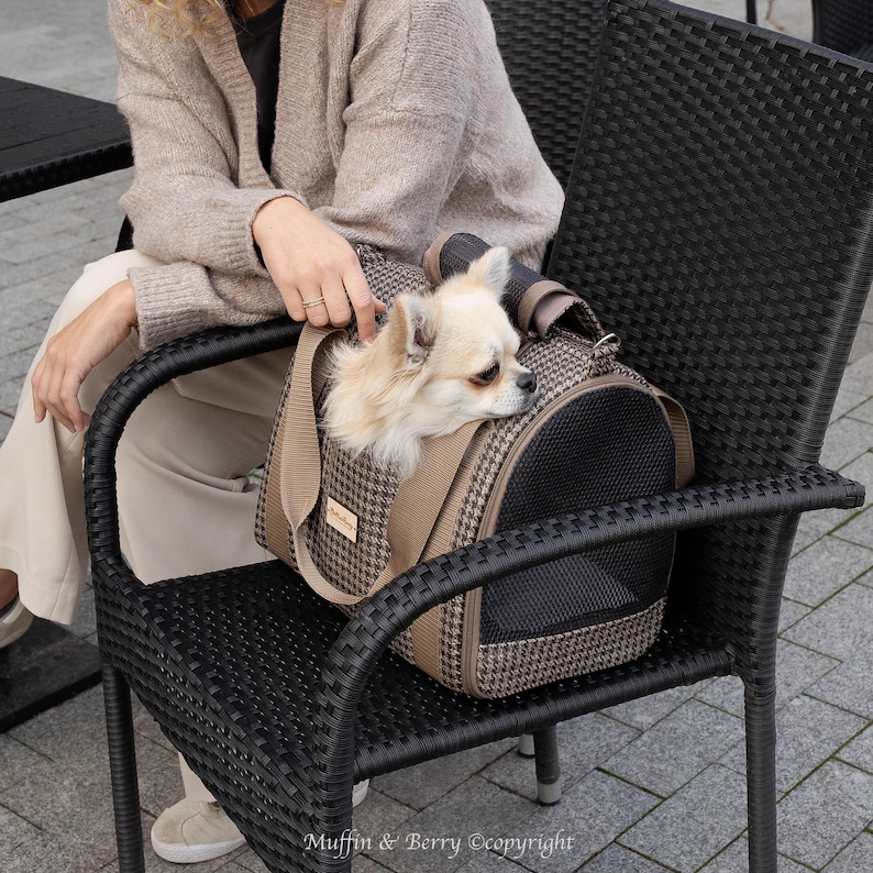 Puede incluir: Un peque&ntilde;o perro blanco en una transportadora de mascotas de color marr&oacute;n y negro con una ventana de malla. La transportadora tiene un asa de color canela y est&aacute; sentada en una silla de mimbre negra.