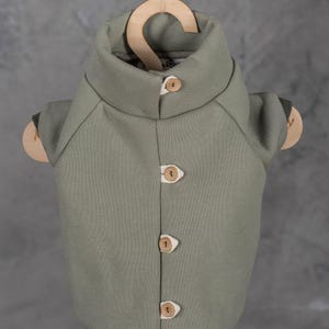 May include: A sage green pet sweater with a high collar and a front button closure featuring four light-colored wooden buttons. The garment has short sleeves with dark green ribbed cuffs and is displayed on a small wooden hanger.