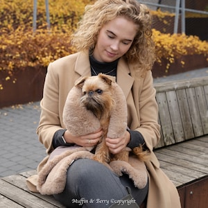 Könnte beinhalten: Ein kleiner, brauner Brüsseler Griffon-Hund wird in einem beigen Kunstfell-Schal gehalten. Der Hund hat eine dunkle Schnauze und aufmerksame Augen. Der Schal ist weich und flauschig. Herbstliche Atmosphäre.