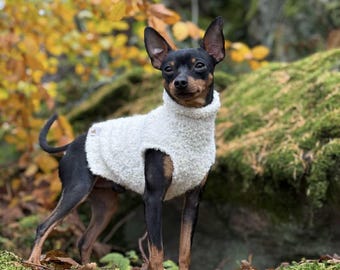 May include: A small black and tan dog wearing a cream-colored, textured, sleeveless sweater with a high collar. The sweater features a small rectangular tag on the side. The dog has pointed ears and is standing in a natural outdoor environment.