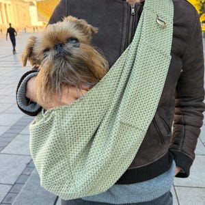 May include: A light green textured fabric pet sling carrier worn across the chest, containing a small, long-haired brown dog with a flat face. The carrier features a metal D-ring attachment near the shoulder strap for securing accessories.