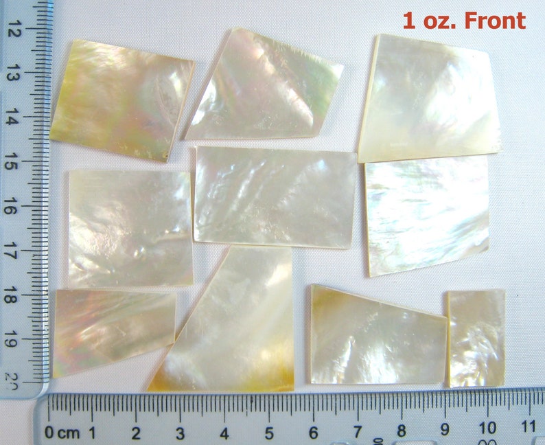 2 Oz. White Mother of Pearl Irregular Shell. One Side | Etsy