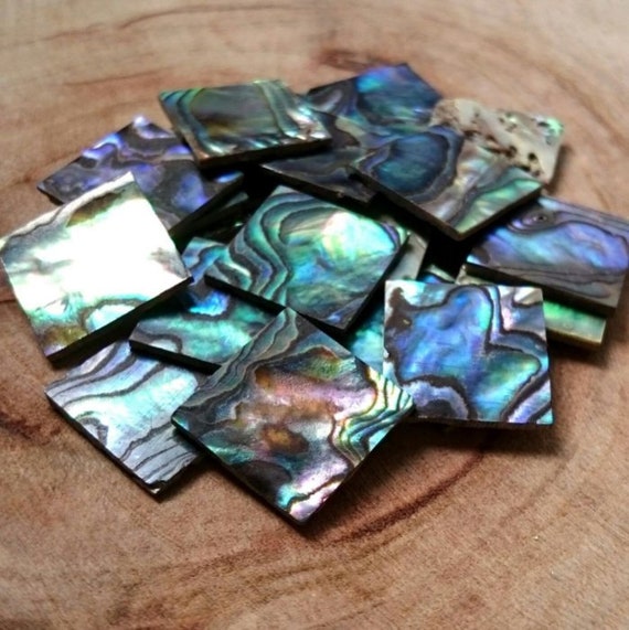 Paua Abalone Shell Square Mosaic Decoration Bowl
