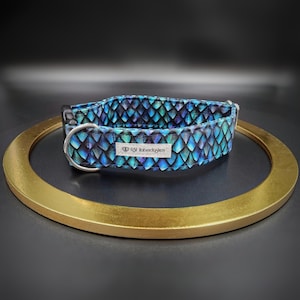 May include: A blue and black dog collar with a scale pattern and the text "RV LiebeDoggler" on a silver tag.