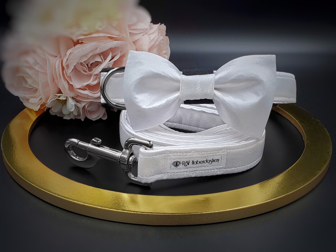 Sincerely Bow Tie Collar Leash main image 1