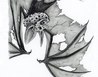 Bat Graphite Art Print