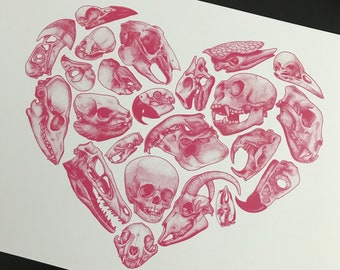 Skull Love Pink