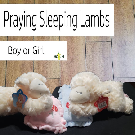 praying lamb stuffed animal