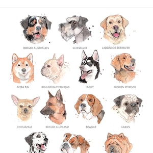 Affiche Les Races de Chiens | Poster Animaux | Carlin Bouledogue Shiba Inu Labrador Husky Chihuahua | Aquarelle | Affiche Éducative