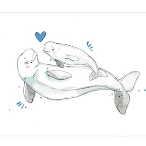 Beluga e il suo piccolo | | poster degli animali marini biologia marina | Acquerello di | balena Natura Quebec | Fauna selvatica| Poster didattico