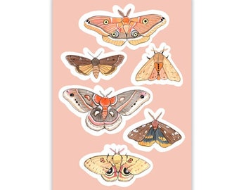 STICKER SHEETS - Quebec Moths | Sticker | Insect tights | Illustration | Marie-Eve Arpin | Made in Quebec