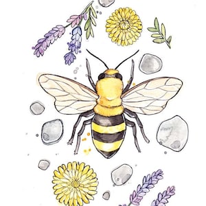 Affiche du Printemps |  Illustration Nature et Abeille | Aquarelle botanique |  Fait au Québec | Marie-Eve Arpin Art |  Affiche Dessin Forêt