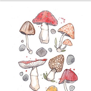 Cartel de setas |  Ilustración Naturaleza | Acuarela botánica |  Hecho en Quebec| | de Arte Marie-Eve Arpin  Póster de dibujo forestal