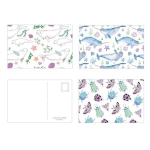 Postcard Size 4 x 6 inches | Made in Quebec | Illustration Animals | Fox Narwhal Insect Hen Beluga| Stationery | Post card