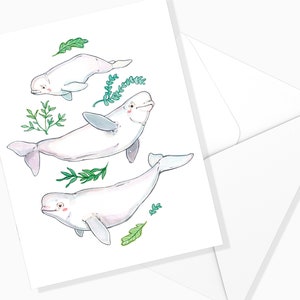 Carte Famille de Bélugas et Algues | Animaux Marins | Papeterie | Carte Aquarelle | Marie-Eve Arpin | Carte de souhaits | Carte de voeux
